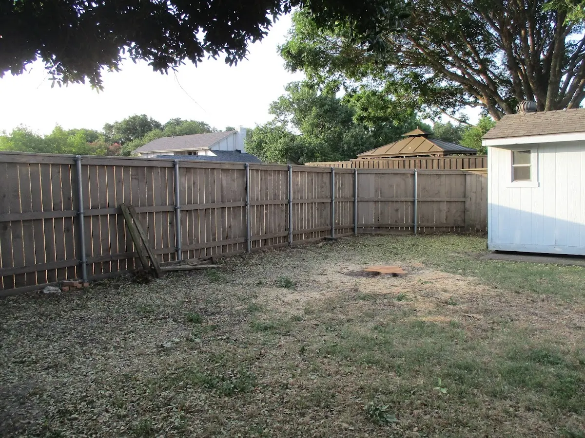 Cleared yard after professional tree removal in East Northport