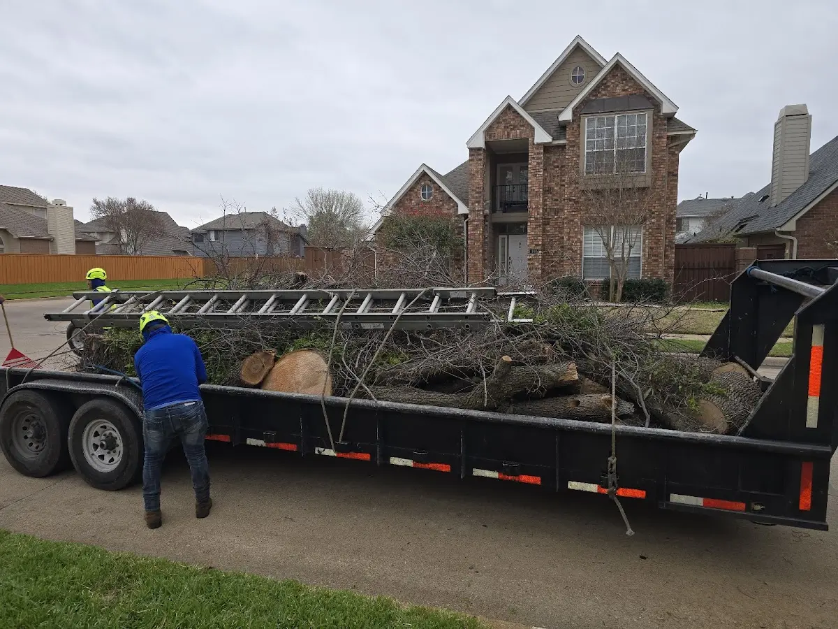 Expert Tree Pest Control with proper safety equipment in East Northport